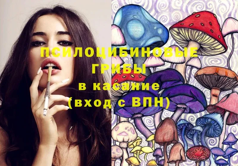 Псилоцибиновые грибы MAGIC MUSHROOMS  Видное 